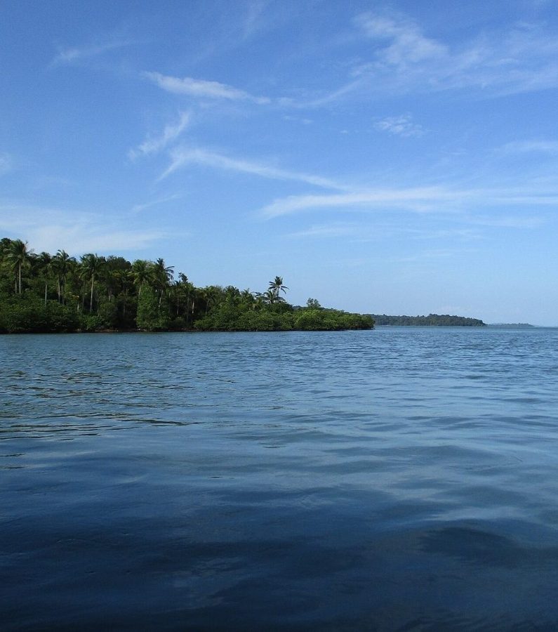 Calm water and mangrove coastline at Tanjung Piayu, Batam